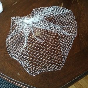Birdcage veil